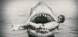 Jaws @ 50: The Definitive Inside Story je profesionálne urobený, svižný a strhujúci pohľad na vznik ikonickej legendy